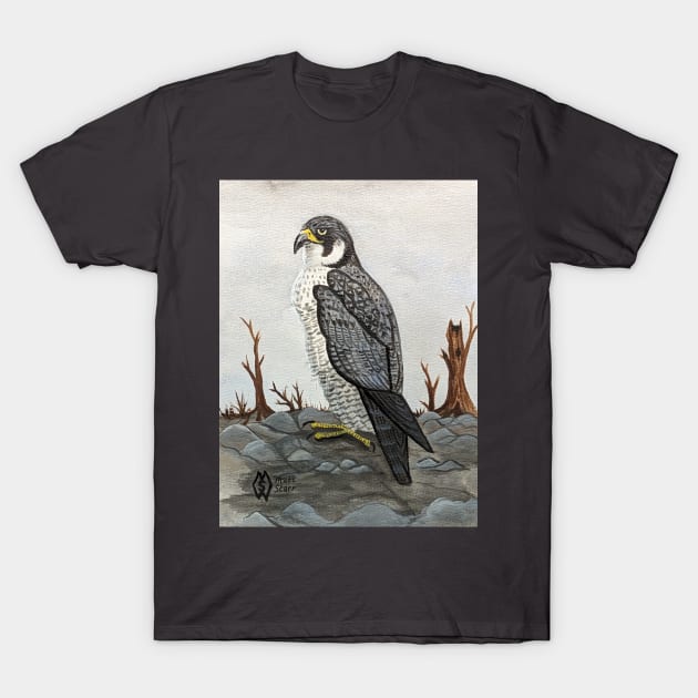 Peregrine falcon t shirt cheap